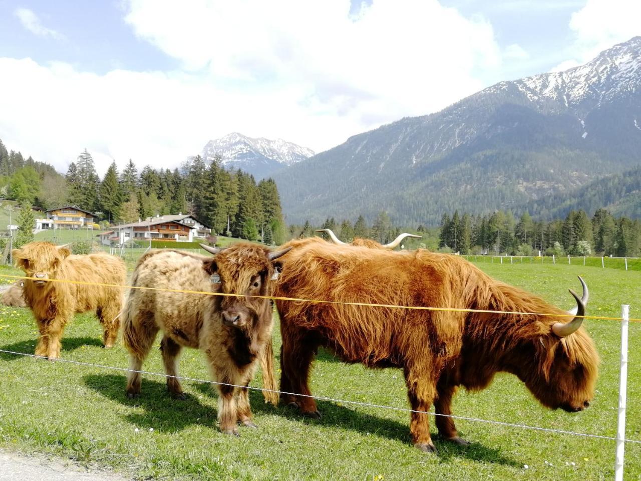 ホテル Camping Lechtal Vorderhornbach エクステリア 写真