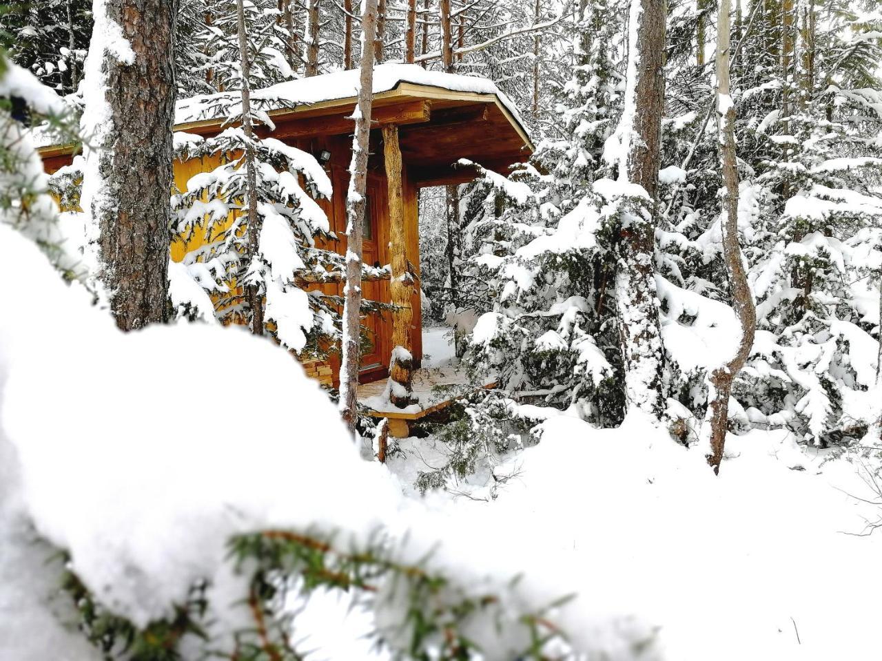 Camping Lechtal Vorderhornbach エクステリア 写真